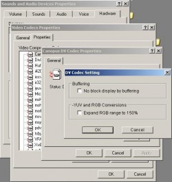 Canopus DV Codec screenshot