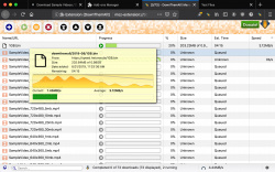 DownThemAll screenshot 2