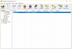 Internet Download Manager screenshot