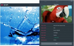 Splash screenshot 3