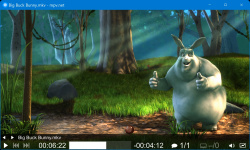 mpv.net screenshot