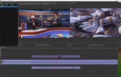 Olive Video Editor screenshot