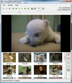 Scenegrabber.NET screenshot
