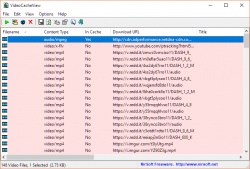 VideoCacheView screenshot